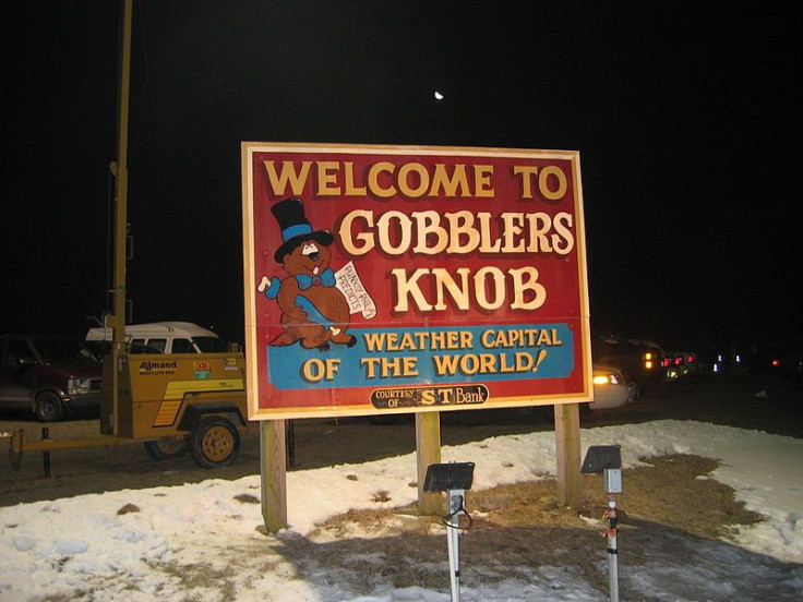 Gobblers Knob Groundhog Day