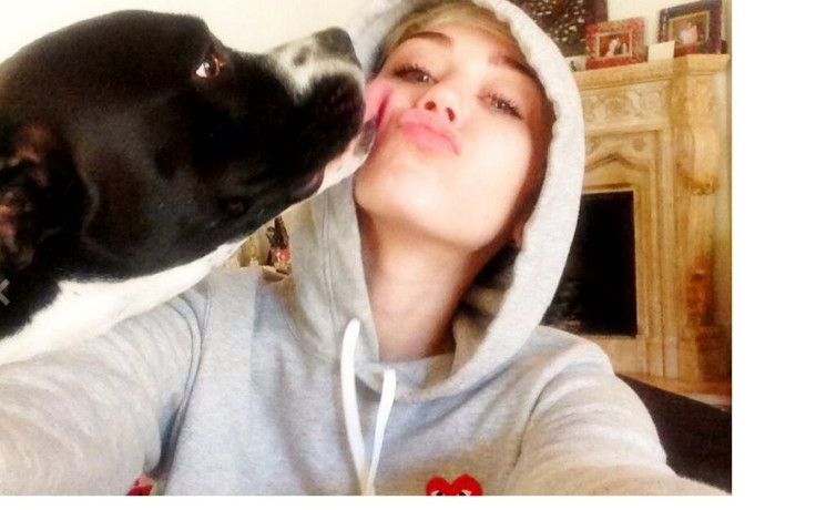 Miley Cyrus posted a pic via Twitter getting some kisses from her furry pal