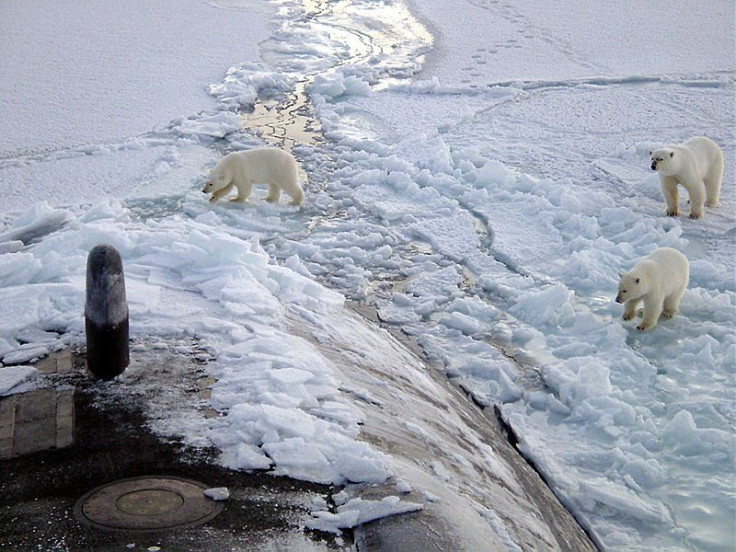 arctic ocean acidifying