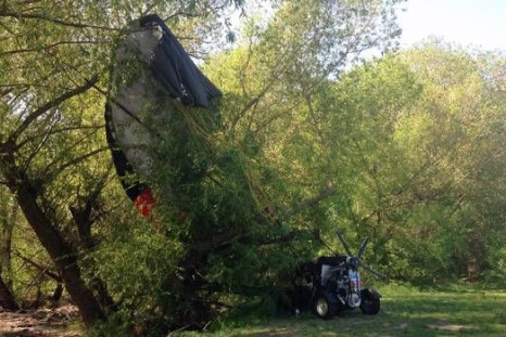 Flying car crashes into tree
