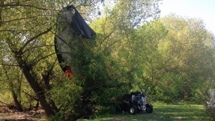 Flying car crashes into tree