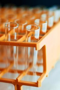 in vitro 325,000 burger beef