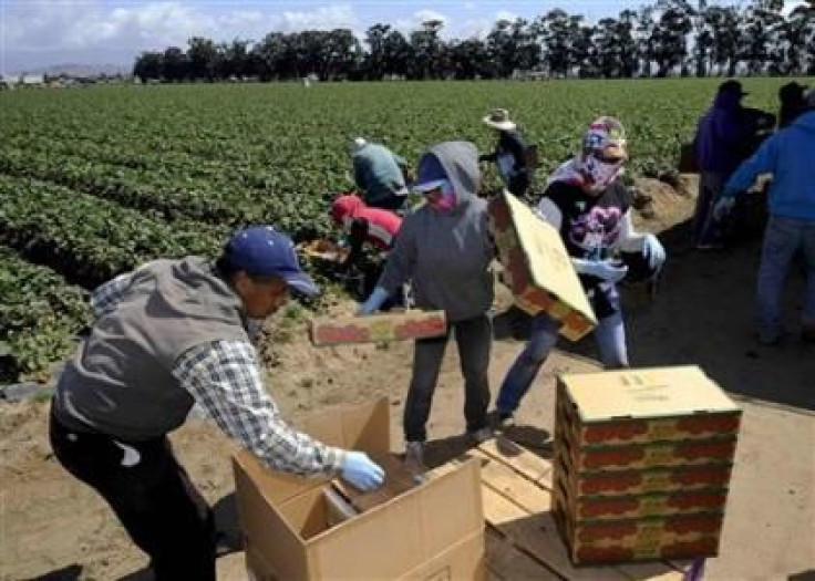 farm workers