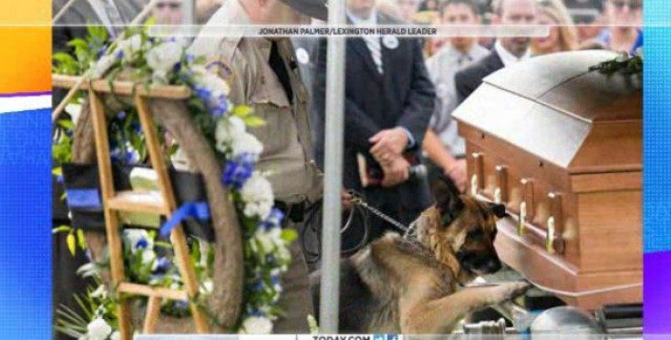 Police Dog Pays Respects