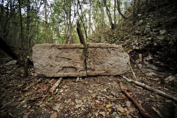 A sculpted stone shaft called stelae is pictured at the newly discovered ancient Maya city Chactun in Yucatan peninsula.