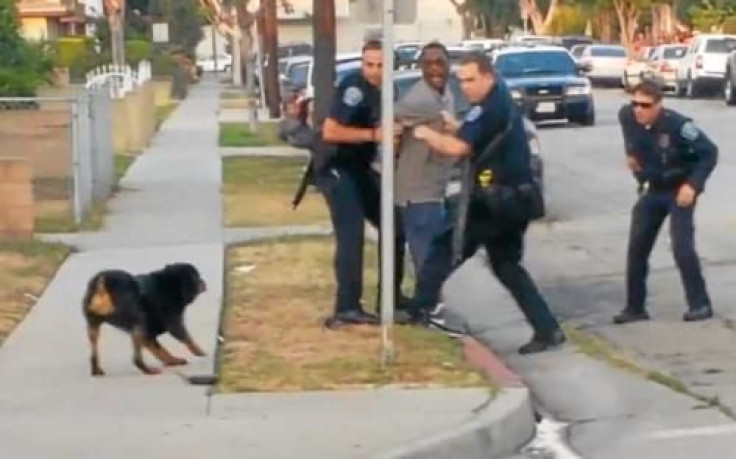 Police kill dog