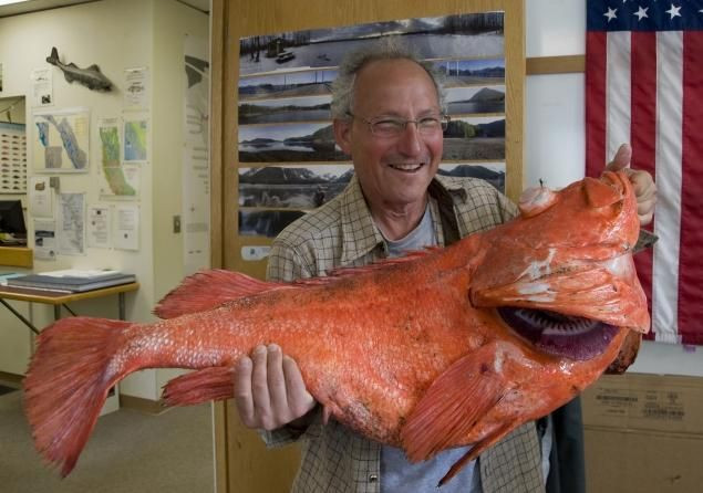 200-year-old rockfish