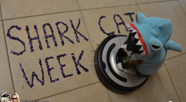 Shark Week