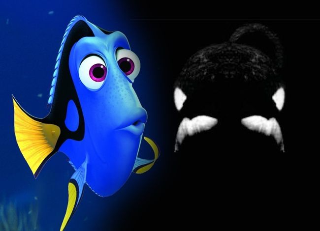 'Blackfish’ Inspires 'Finding Nemo' Sequel Alternative Ending Amid ...