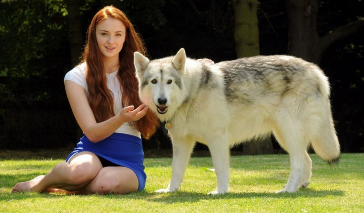 Sophie Turner and Zunni, the dog who played "Lady" on HBO's series "Game of Thrones."