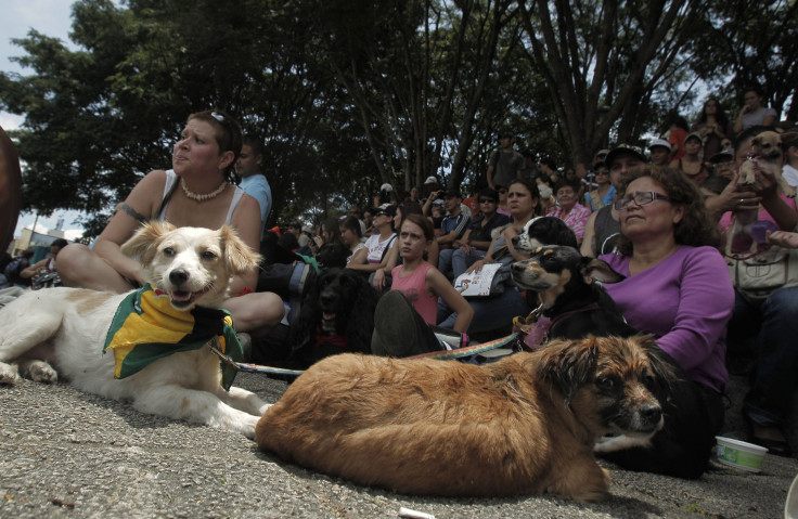 Costa Rica Animal Rights March