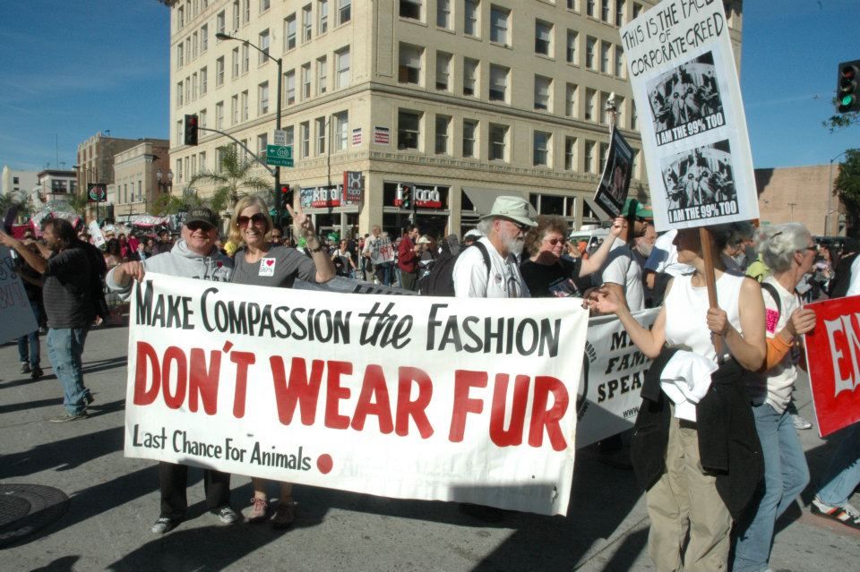 West Hollywood Fur Sales Ban California City First In US To