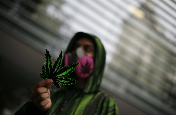 A protester shows a fake marijuana leaf during a May protest in Mexico City.