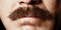 Anchorman 2