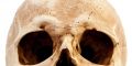New deformed skulls from France a similar to those found in Mexico.