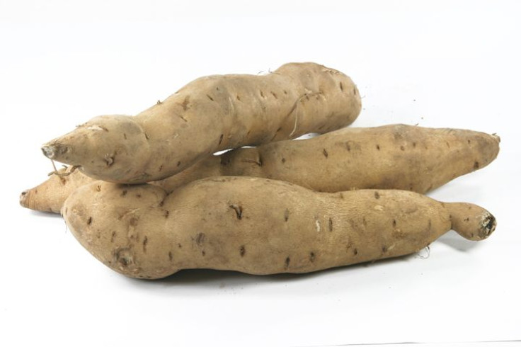 Can the sweet potato hold the cure of HIV?