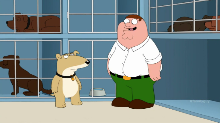 "Family Guy"