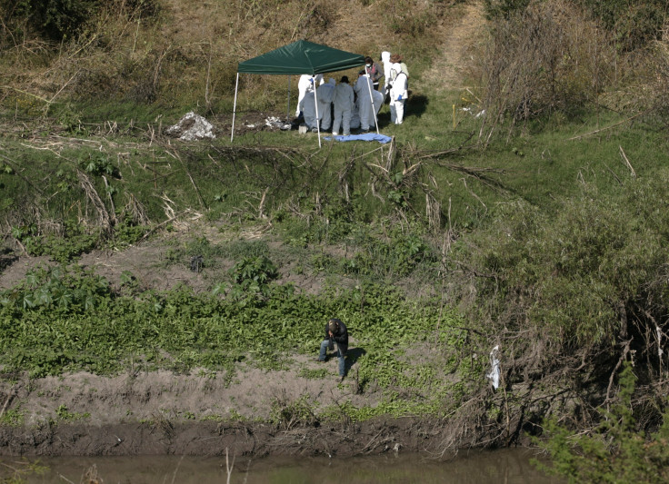 Forensic technicians search for human remains in a mass grave on the banks of the Lerma river in La Barca November 21, 2013.