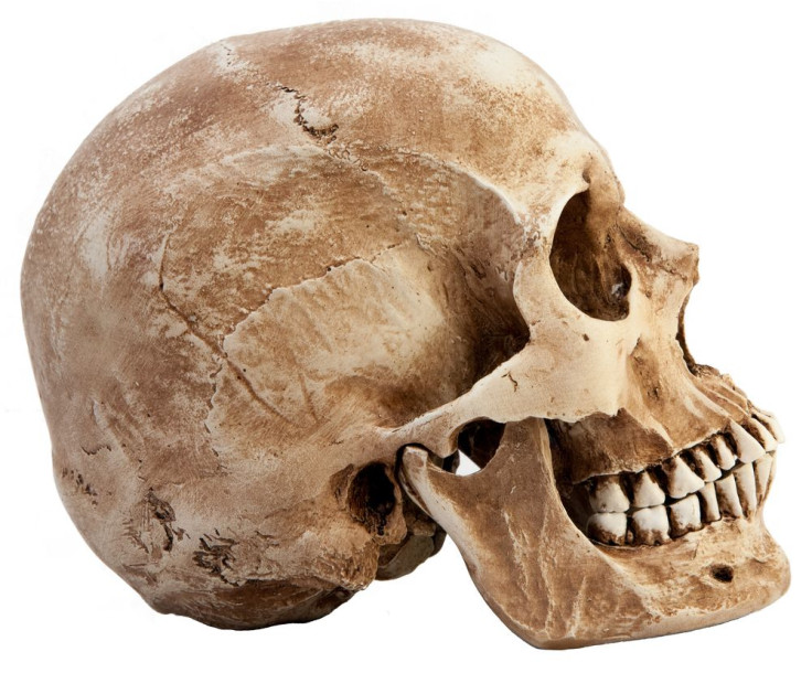Ancient Peruvians Performed Cranial Surgery
