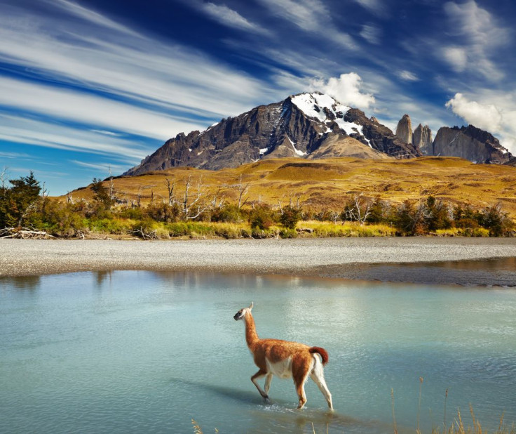 Chile's disappearing lake