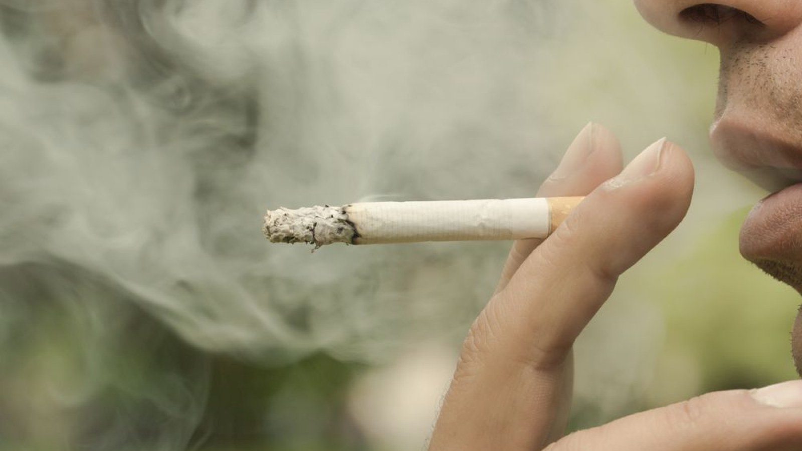 how harmful are electronic cigarettes the economist Vaping and the Brain: Effects of Electronic Cigarettes and E-Liquid Substances how harmful are electronic cigarettes the economist Vaping and the Brain: Effects of Electronic Cigarettes and E-Liquid Substances
