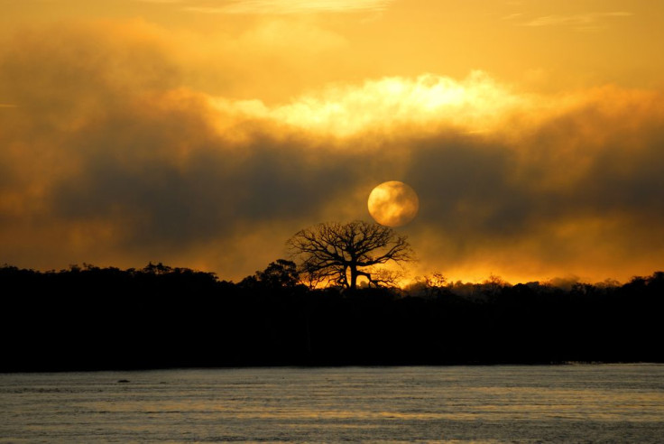 Amazon-River-Water-Flow