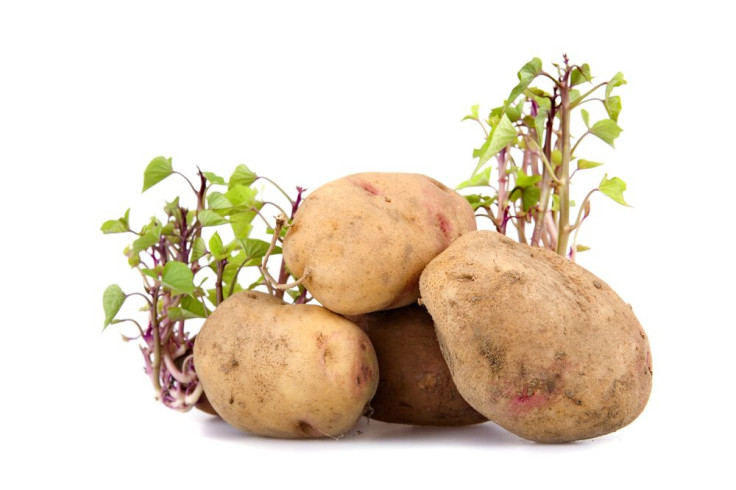 Colombian-Woman-Potato-Contraceptive-Vagina-Roots-Growing