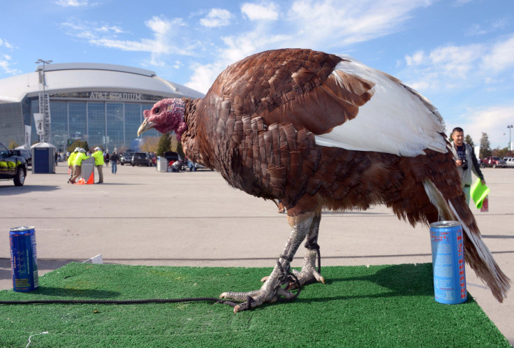 NFL Thanksgiving