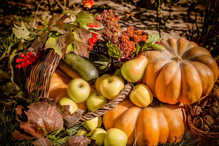 thanksgiving bounty