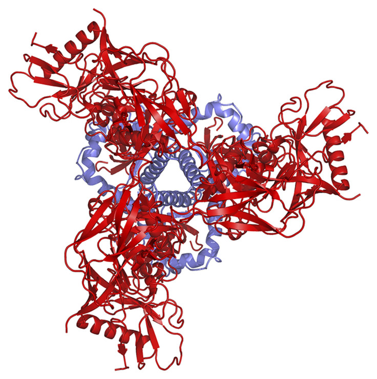 hiv protein 