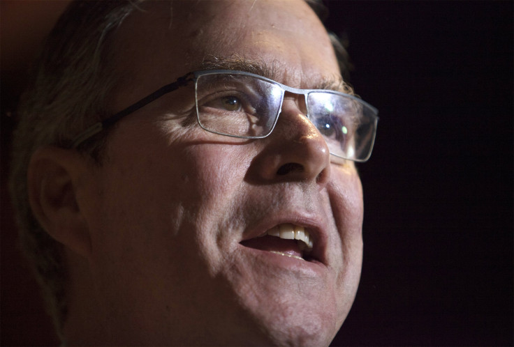 jeb bush glasses