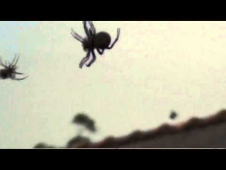 Looks Like It's Cloudy With A Chance Of Raining Spiders In Brazil!