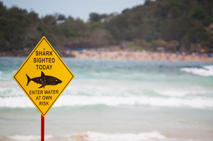 BeachSharksign