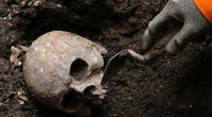 Skulls in New York