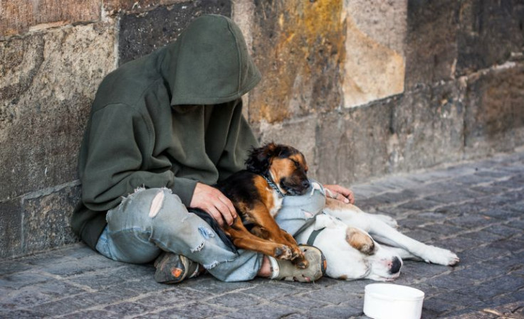 NYC Panhandler