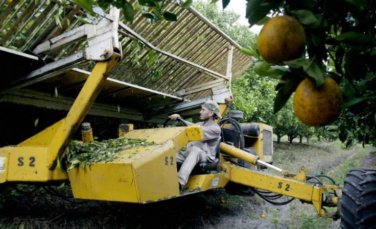 AGRICULTURAL SECTOR