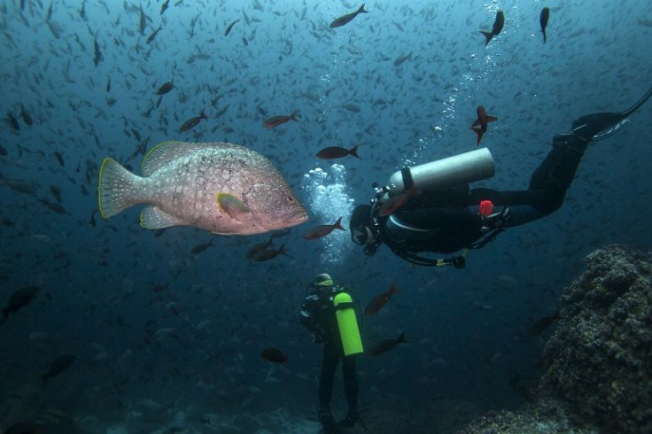 Islas Galapagos