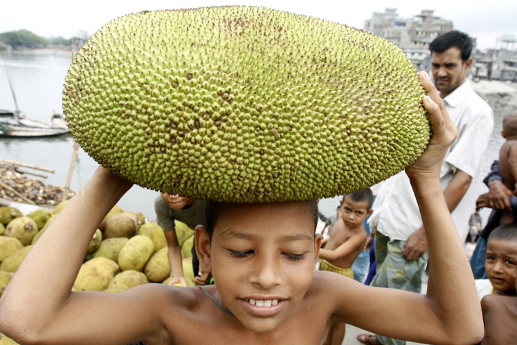 Jackfruit