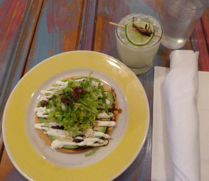 Tostadas de Chapulines