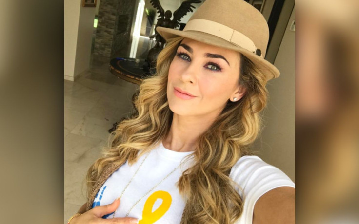 Aracely Arámbula