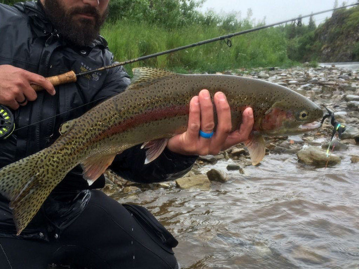 Silicone Ring Fishing Active 