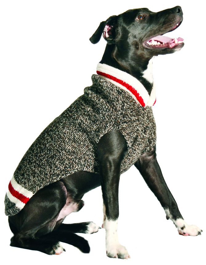 Chilly Dog Boyfriend Dog Sweater