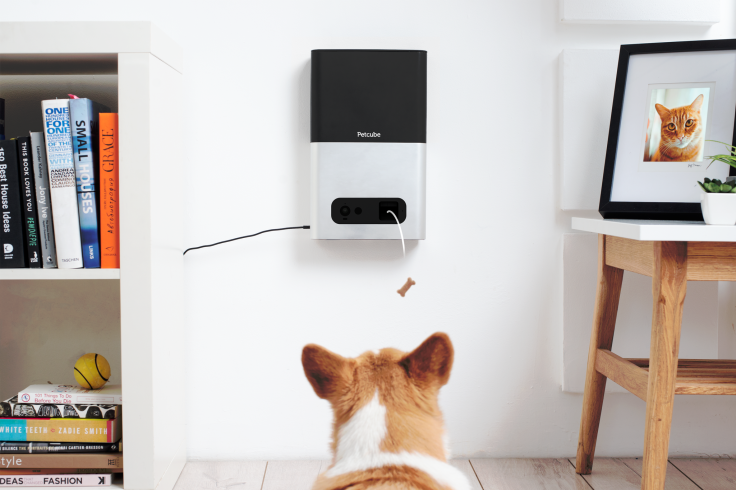 Petcube Bites Pet Camer