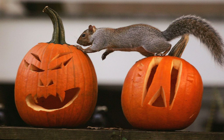 Halloween