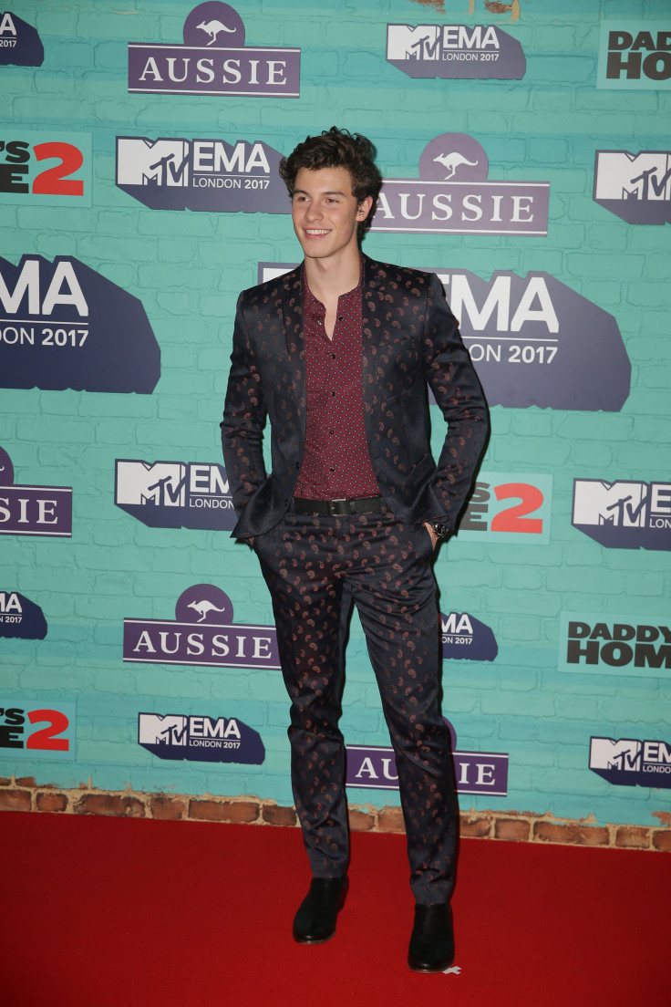 MTV EMA 2017 Red Carpet Photos: Shawn Mendes