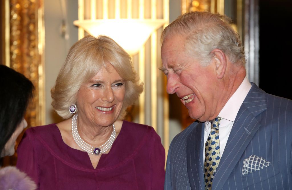 The Reasons Why Prince Charles Did Not Marry Camilla First