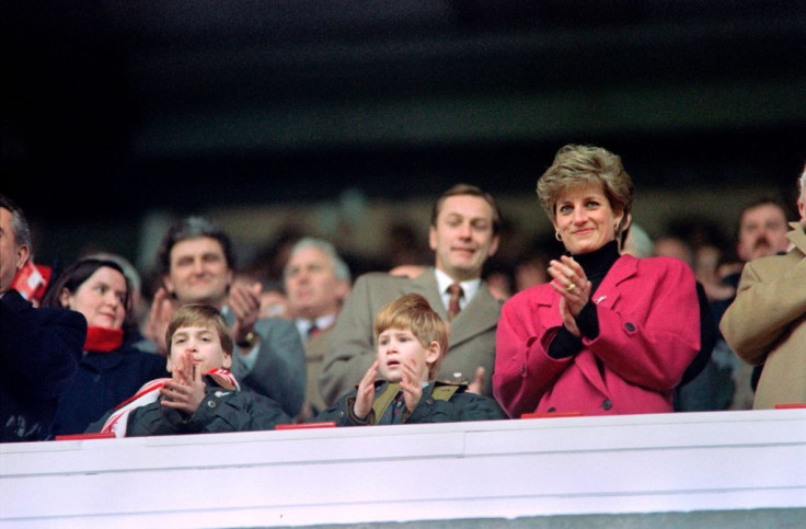 Prince William, Prince Harry and Princess Diana