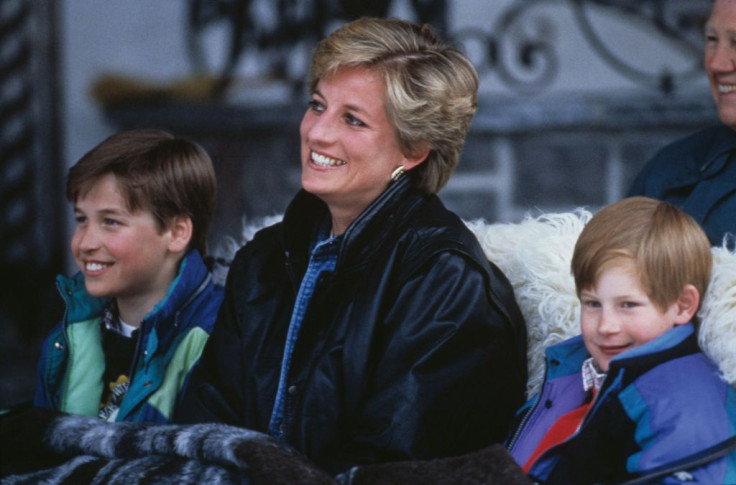 Prince William, Princess Diana and Prince Harry