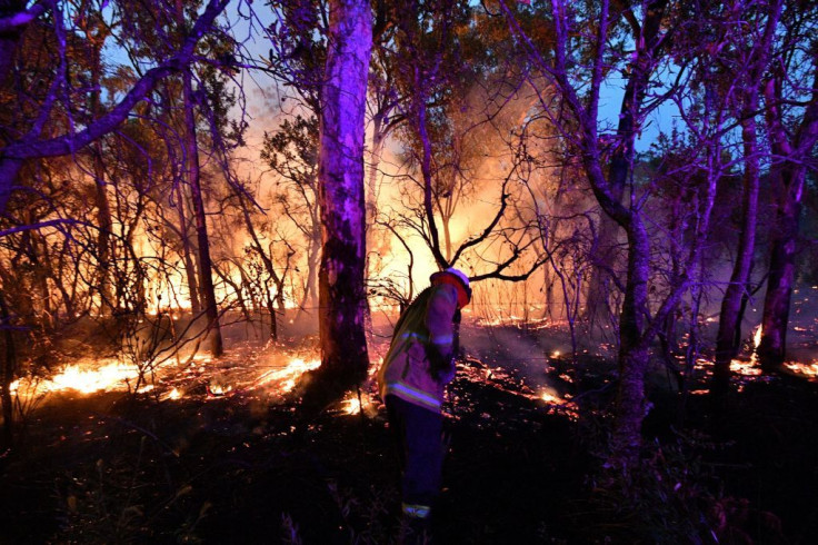 australia bushfire