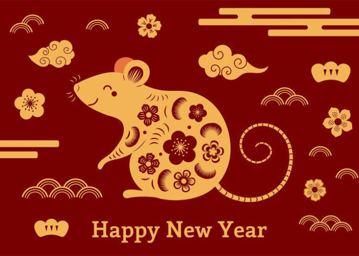 Year of the Rat